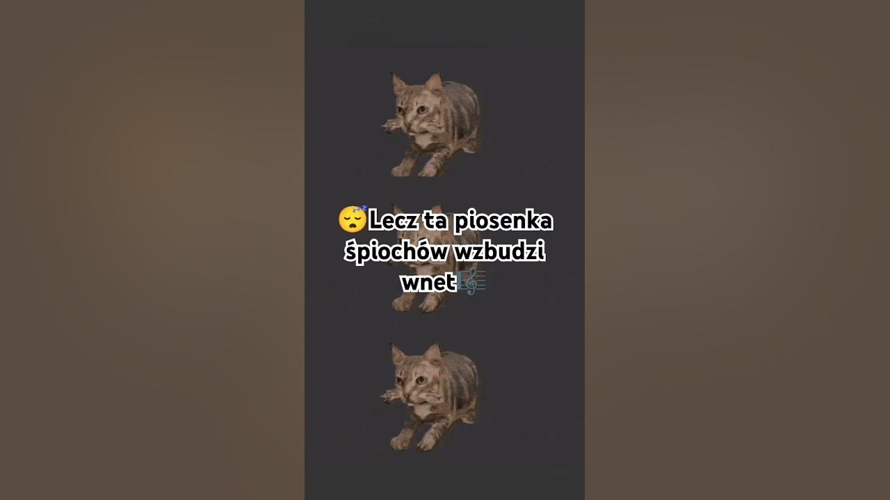hej miśki czas wstać🐻