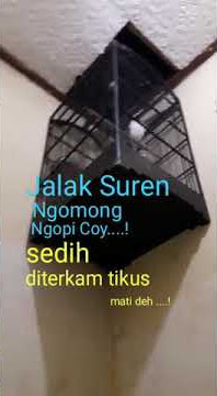 Jalak Suren Ngomong Ngopi Coy....!
