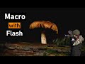 Macro photography with a flash the best technique