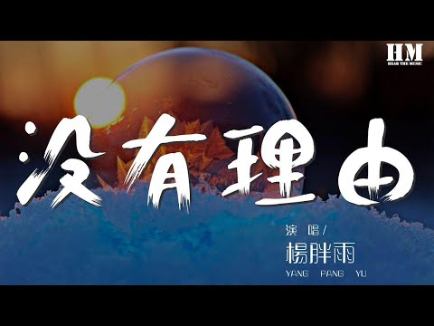 楊胖雨 - 沒有理由『Baby I’m sorry I’m so lonely』【動態歌詞Lyrics】