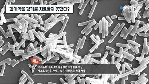 감기약은 감기를 치료하지 못한다? / YTN 사이언스