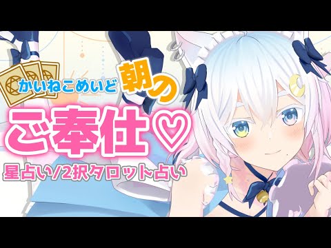 【朝活】かいぬし様、行ってらっしゃいませ💗 morning stream !!【Vtuber /#猫乃ユキノ】