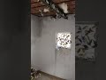 19 07 2025 اكسبلور اغاني متابعه لايك تصميمي Birds Lovebirds Youtubeshorts Viral Shorts 19 07 2025 اكسبلور اغاني متابعه لايك تصميمي Birds Lovebirds Youtubeshorts Viral Shorts