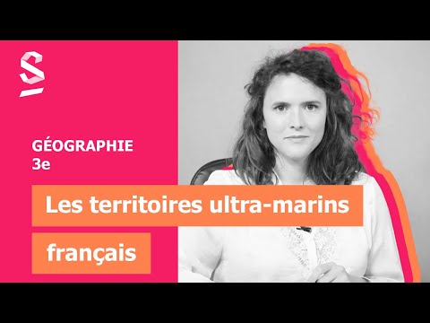 Vidéo: L'analyse De La Régénération Des Larves D'étoiles De Mer Révèle Des Processus Conservés De Régénération Du Corps Entier à Travers Les Métazoaires