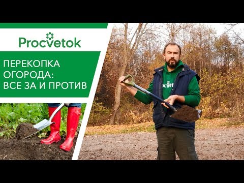 Video: Preprodavači - šta je to?