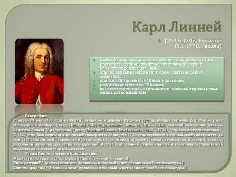 Классификация животных. Основные систематические группы.AVI
