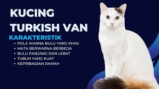 Turkish Van Cat||Characteristics of the Turkish Van Cat#animalabchannel6643