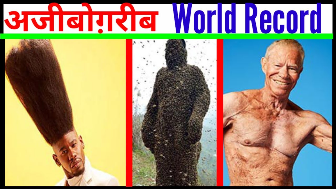 World Record Top 12 Guinness World Records world-record-top-12-guinness-world-records