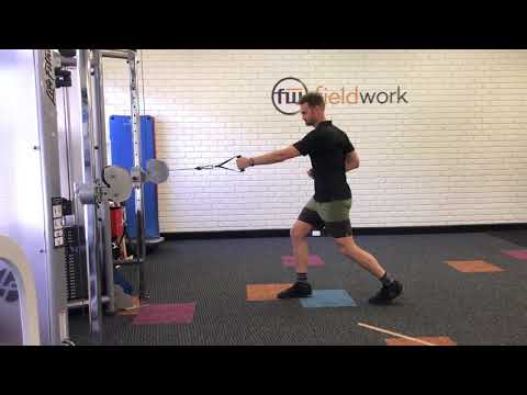 1 Arm Standing Cable Row with Rotation
