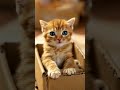 Adopting a cat Avoid this fatal error