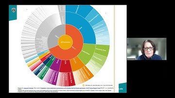 Blum Center Program: Exploring the Extent of Health Consequences Surrounding Climate Change