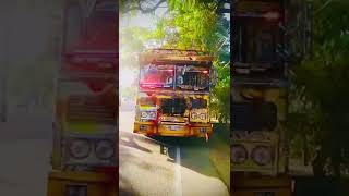 උන්මාද චිත්‍රා අලුත් අප්ඩේට් එක bus shorts viral damrajini busdj