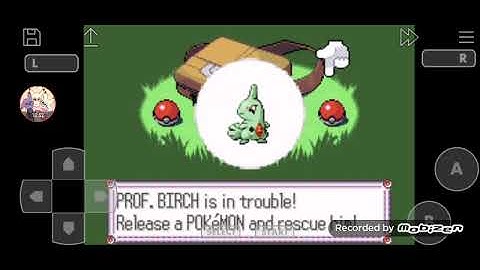 The Journey begins! - Pokémon Ruby Randomizer Nuzlocke - EP. 1