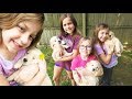 Adorable Puppies Play Outside with 6 Kids! | Crazy8Family