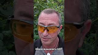 Можно ли вылечить СД2? #ответы_на_вопросы #похудение #СД2