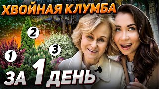 🌲💥ЭФФЕКТНАЯ клумба ЛЕГКО: у Дарьи Донцовой теперь гортензии, сосны и можжевельники