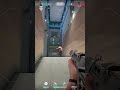 Stealth mode #stealth #stealthy #badaim #gaming #valorant #valorantclips #valorantmoments