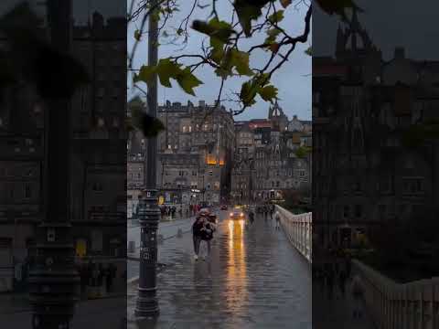 Cover [Global Collection Music] "Take me to your heart" #music #shorts