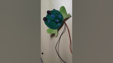 Robot Frog Arduino with different sounds