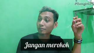 Story wa MEROKOK MEMBUNUHMU 😱   #lelucon #pecintastory