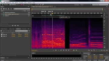 05 06 Copying, Cutting And Pasting Audio