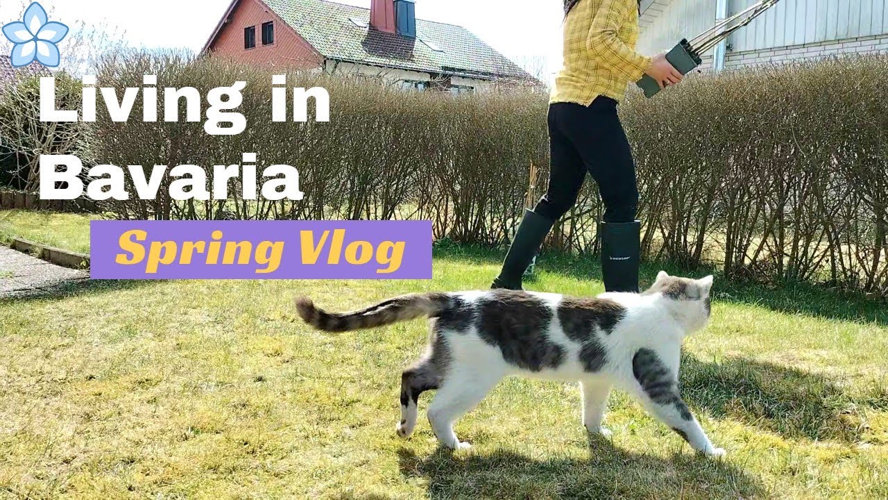 VLOG | Family Spring in Northern Bavaria - Franconia