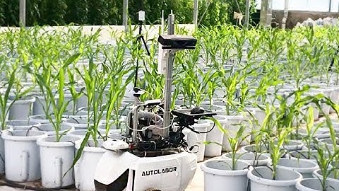 Inspection robot for agricultural greenhouses