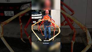 The Absolute Rarest Photos In Existence 😱