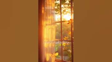 »|| تلاوة خاشعة ومؤثرة ||»#اكسبلور #القرآن_الكريم #قرآن #راحة_نفسية