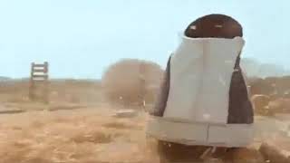 Butt-Shoe-Car Chase