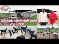 100 टक्के यशस्वी शेळी पालन। शेड माहिती व यशोगाथा/sheli palan,goat farming.