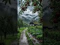 Cozy Village Rain 🏡🌧️ (Relaxing ASMR) #shorts #rain