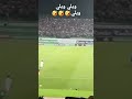ويلي ويلي ويلي هدف الكاميرون في مرمى الجزائر من المدرجات 