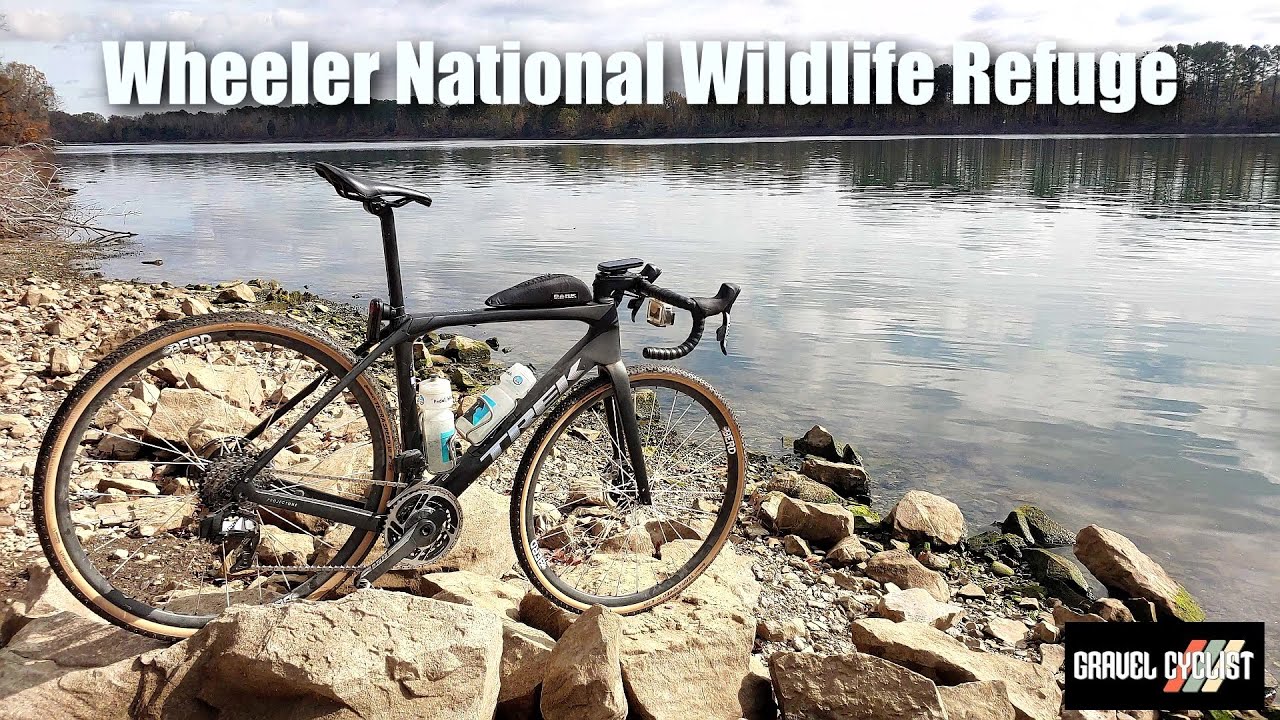 Wheeler National Wildlife Refuge Fab Cycling near Huntsville, AL YouTube