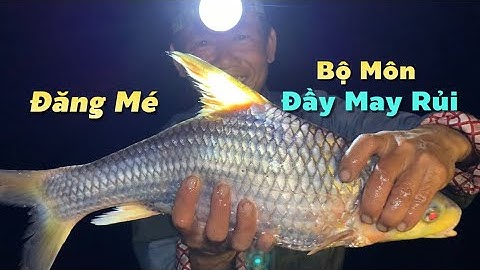 Một đêm đăng mé đầy may rủi dính cá ngát về kho trái me non nhậu bên chòi lá | Cldv #612
