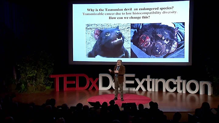 Hybridizing with extinct species: George Church at...