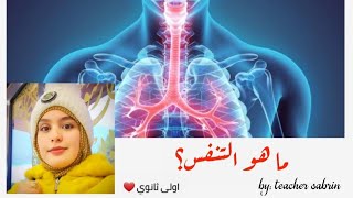تحويل الطاقة الكيميائية الكامنة في الاغذية / الجزء الاول  / اولى ثانوي /