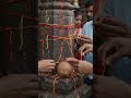 जय हो अंगारमोती दाई | Angarmoti Dai #trending #adivasisong #cgsong #cgmusic