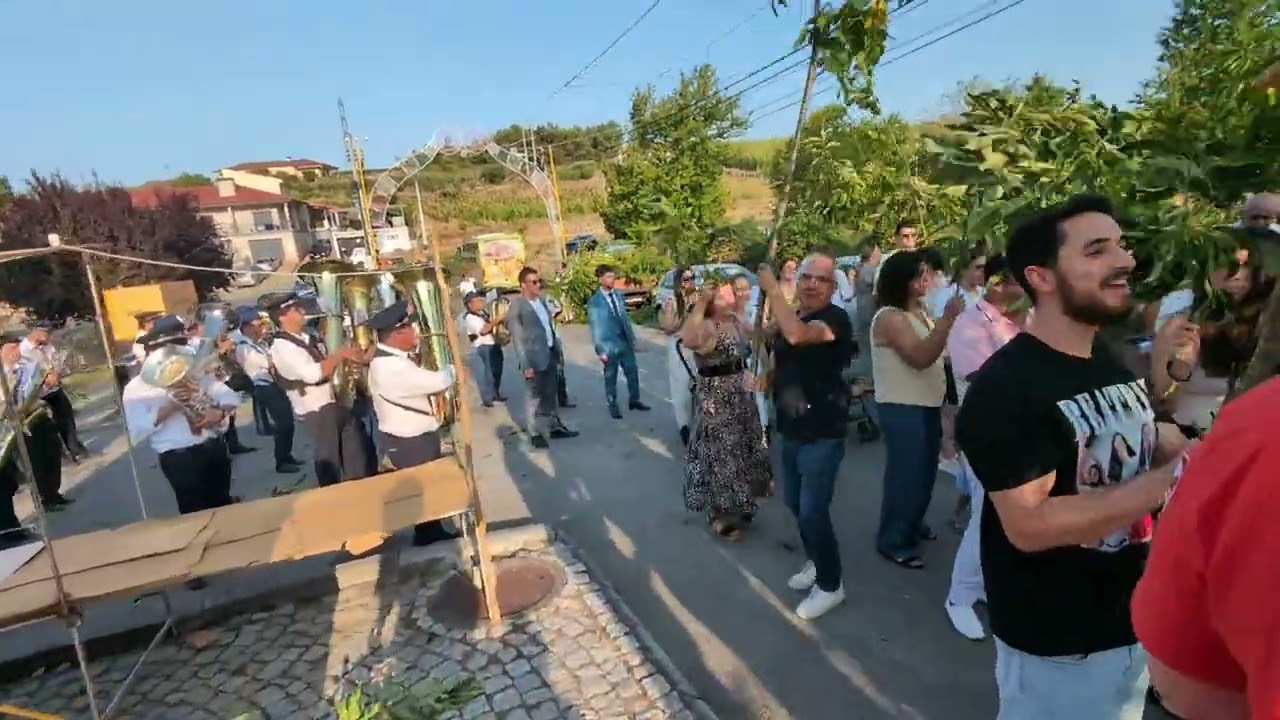 Arruada de ramos de castanheiro em Aldeias de Armamar 