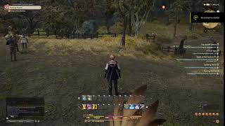 Final Fantasy XIV Bad Grass Effect on 4K Best Settings