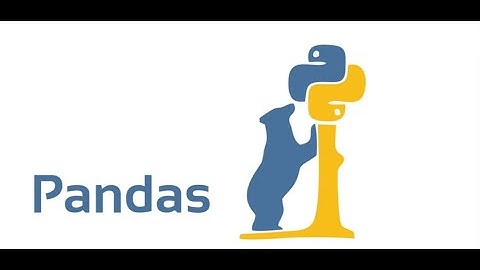 Correction Prototype Pratique Bac Eco pandas access