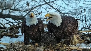 Decorah North: 🦅 🎉 The Norths Ring In The New Year with nestorations (explore.org 01 01 2023)