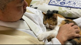 猫と住職の甘い時間
