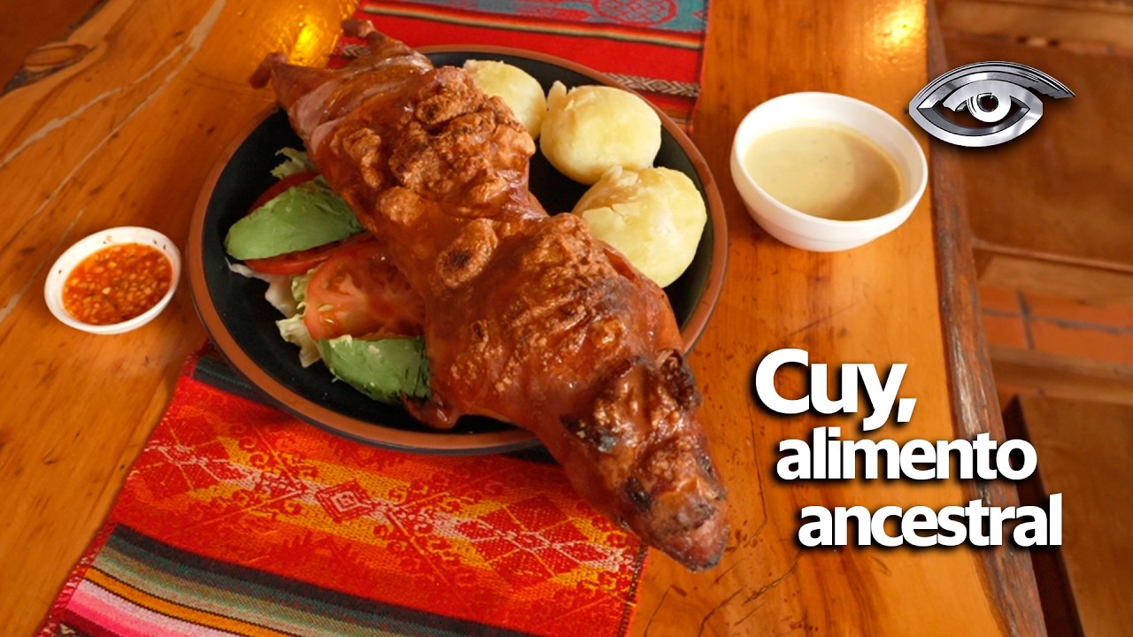 Cuy, alimento ancestral - Día a Día - Teleamazonas