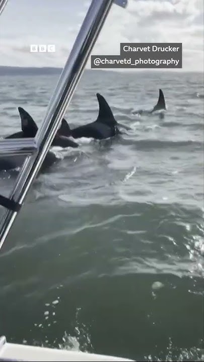         
 - نشر قبل 23 دقيقة