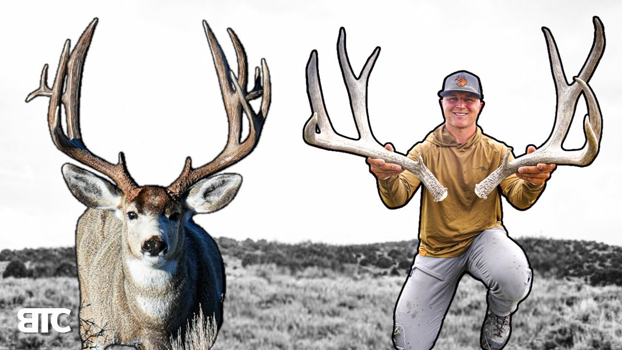 BIG MULE DEER SHEDS | SHEDHUNT 2025 | BTC 4K