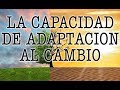 Jorge Bucay - La capacidad de adaptación al cambio