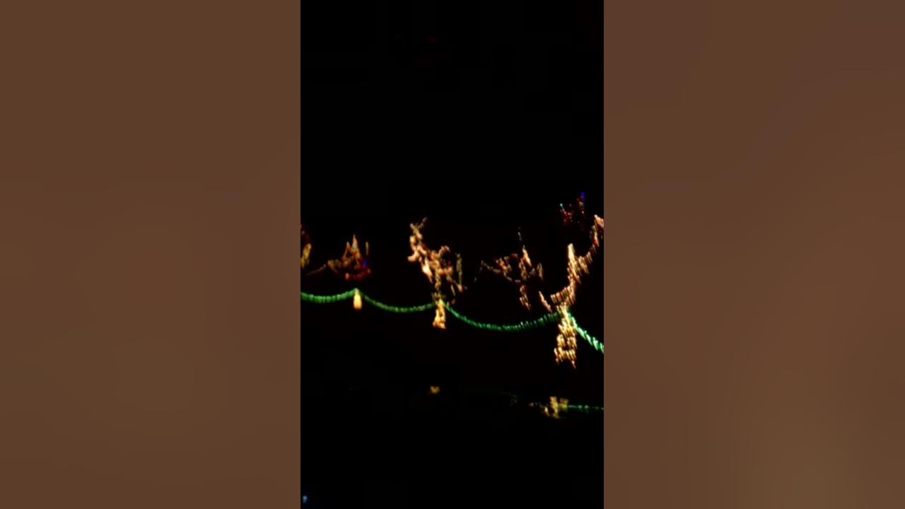 Zootastic Christmas Lights YouTube