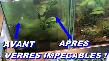 Comment nettoyer un aquarium sans le rayer ?