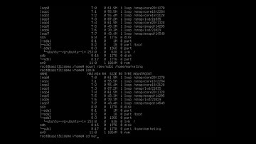 Manually mounting partitions in Ubuntu Server